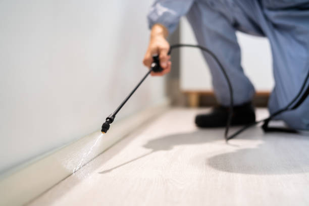 Licensed Rodent Control service in Short Hills, NJ - Nex Pest Control