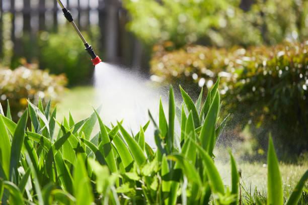 24/7 Emergency Rodent Control experts in Short Hills, NJ