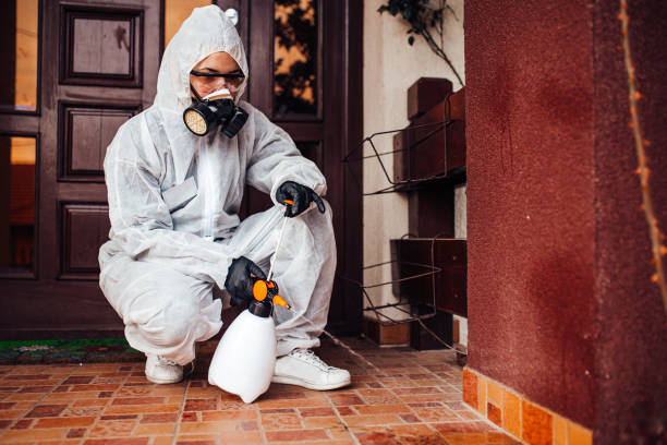 Reliable Rodent Control contractor in Short Hills, NJ by Nex Pest Control