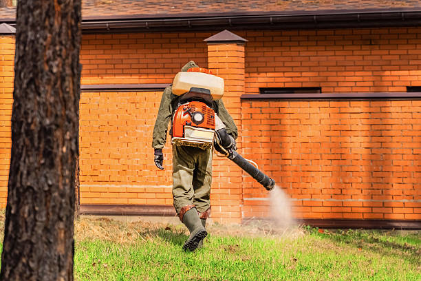 Trusted Ant Control service in Short Hills, NJ - Nex Pest Control